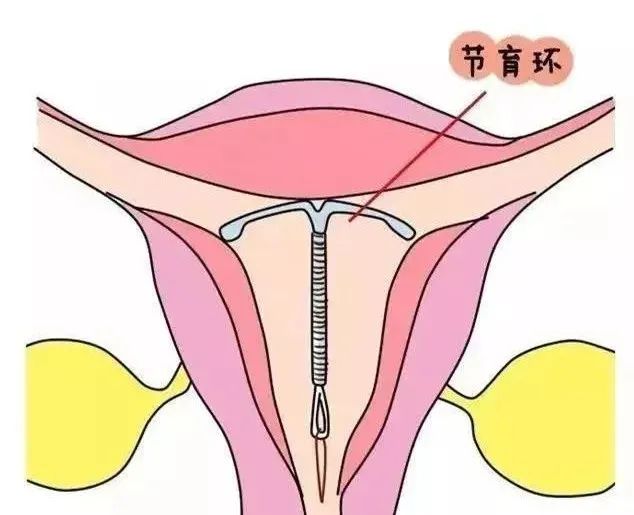 e5d3f0d14fe2cb78b364ea1ee350bbd1.jpg e5d3f0d14fe2cb78b364ea1ee350bbd1.jpg